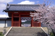 nio-mon