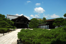 nio-mon