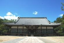 nio-mon