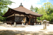 nio-mon