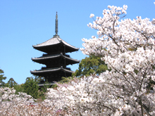 nio-mon