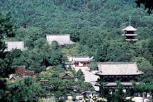 nio-mon